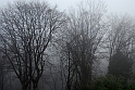 Nebbia 15_01_2011 - Monte dei Cappuccini_16
